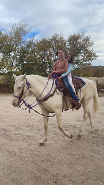 26 de Septiembre 1:00pm Subasta de Caballos, Festival de Otoño Campo 12-B