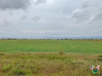 13. November 1:00pm Land- Ausruf Familie Neufeld Campo 17