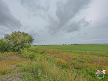 13. November 1:00pm Land- Ausruf Familie Neufeld Campo 17