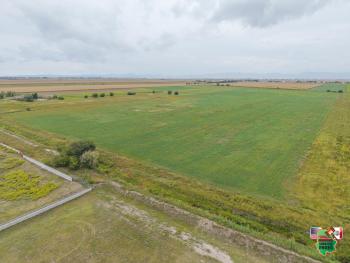 13. November 1:00pm Land- Ausruf Familie Neufeld Campo 17