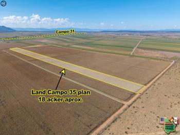 24 de Noviembre 9:00am Subasta Familia Enns Campo 30 # 29