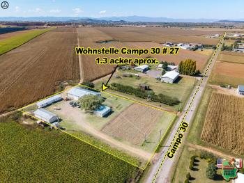 24 de Noviembre 9:00am Subasta Familia Enns Campo 30 # 29